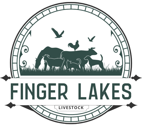 Finger Lakes Live Stock Ex